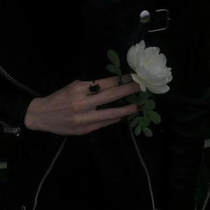 狠狠操综合网站
