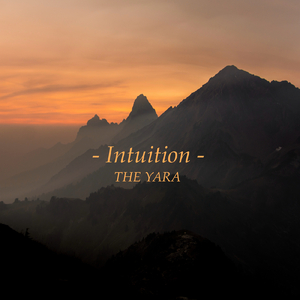 狠狠操综合网站
